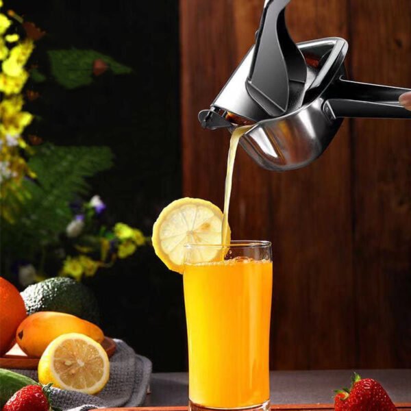Stainless Steel Manual Juicer Multifunctional Juicer - Image 6