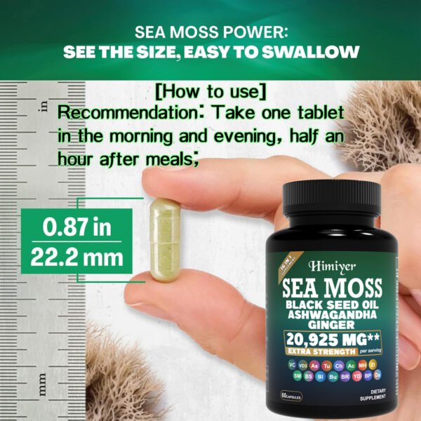 Seaweed Seed Oil 20925 Milligrams - Image 10