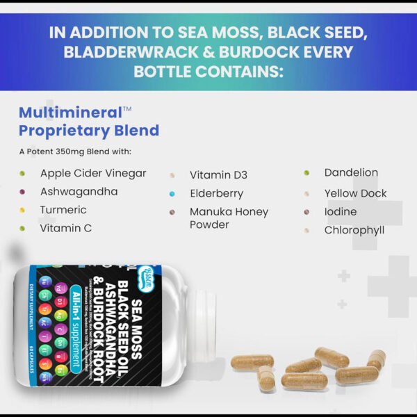 Sea Moss Fitness Burdock Multi-Mineral Vitamin Edible Supplement  Dietary, Healthcare 60 Count - Image 2