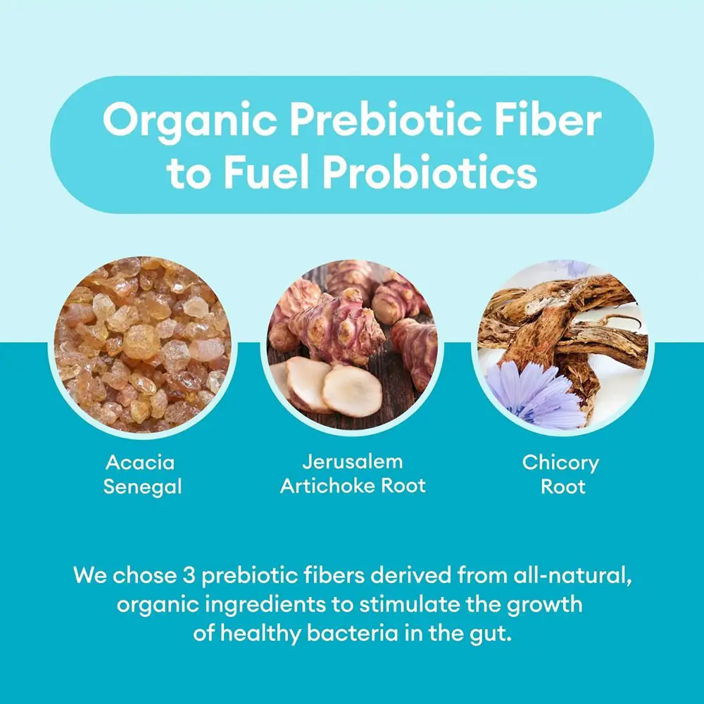 Probiotics 60 Billion CFU  10 Strains  Organic Prebiotics - Immune, Digestive  Gut Health - Supports Occasional Constipation, Diarrhea, Gas & Bloating - For Women & Men - 30ct - Image 3