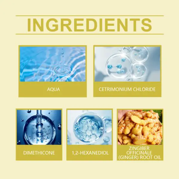 EELHOE Ginger Rosemary Conditioner Repairs Dry Hair - Image 4