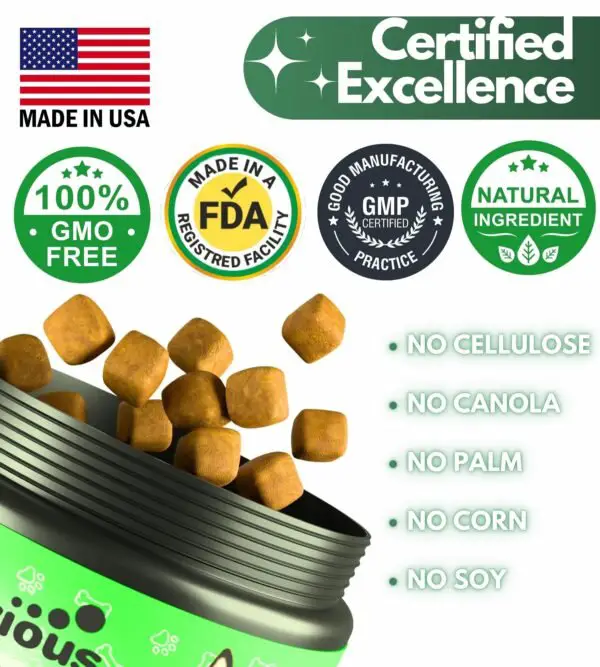 Flea And Tick Prevention For Dogs  Dogs Pest Defense