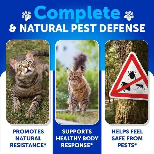 Flea Treatment For Cats Natural Flea And Tick Prevention Supplement - Image 4