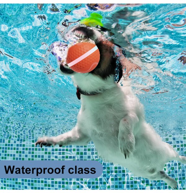 Pet Electric Dog Ball - Image 10