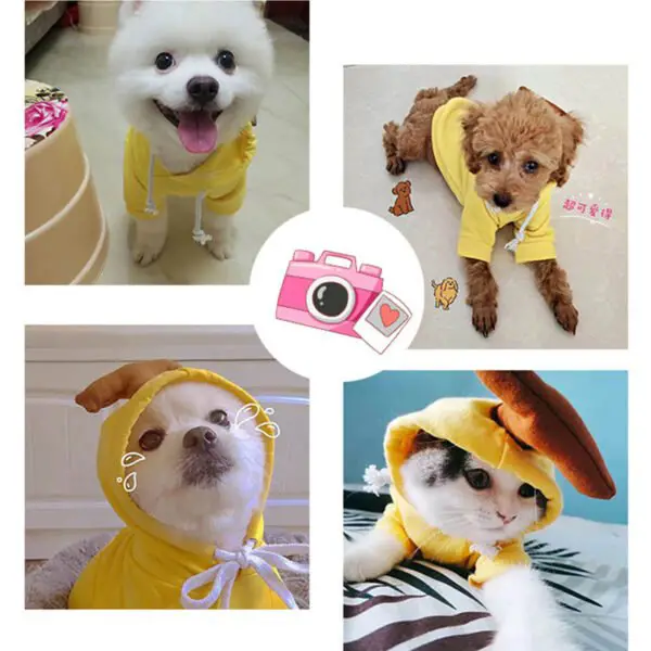Cute Fruit Dog Clothes For Small Dogs - Image 6