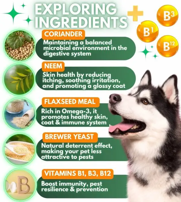 Flea And Tick Prevention For Dogs  Dogs Pest Defense - Image 4
