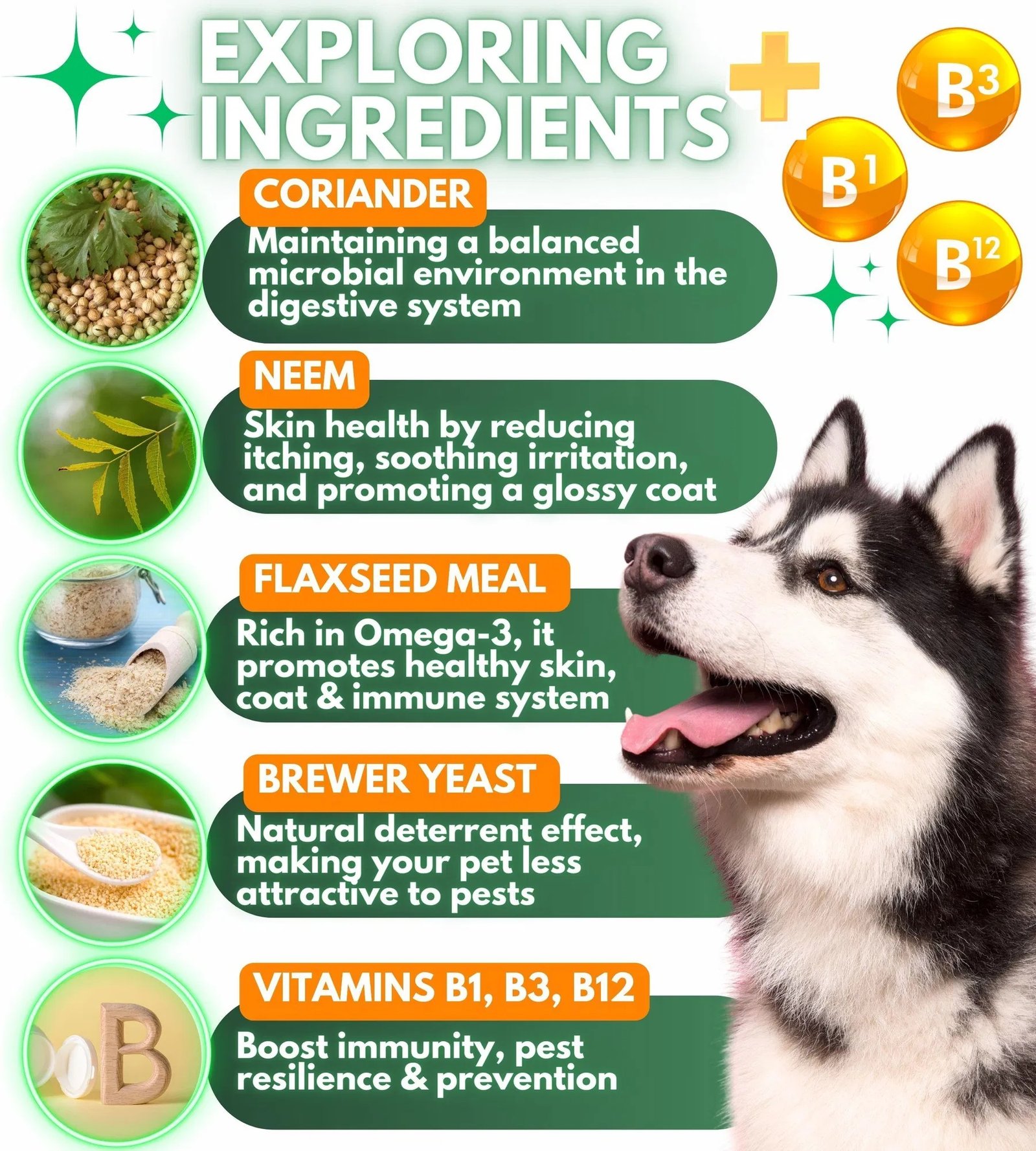 Flea And Tick Prevention For Dogs  Dogs Pest Defense - Image 4