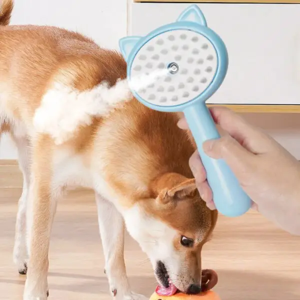 Hair Cleaning Brush With Mist Multifunctional Cat Grooming Brush - Image 4