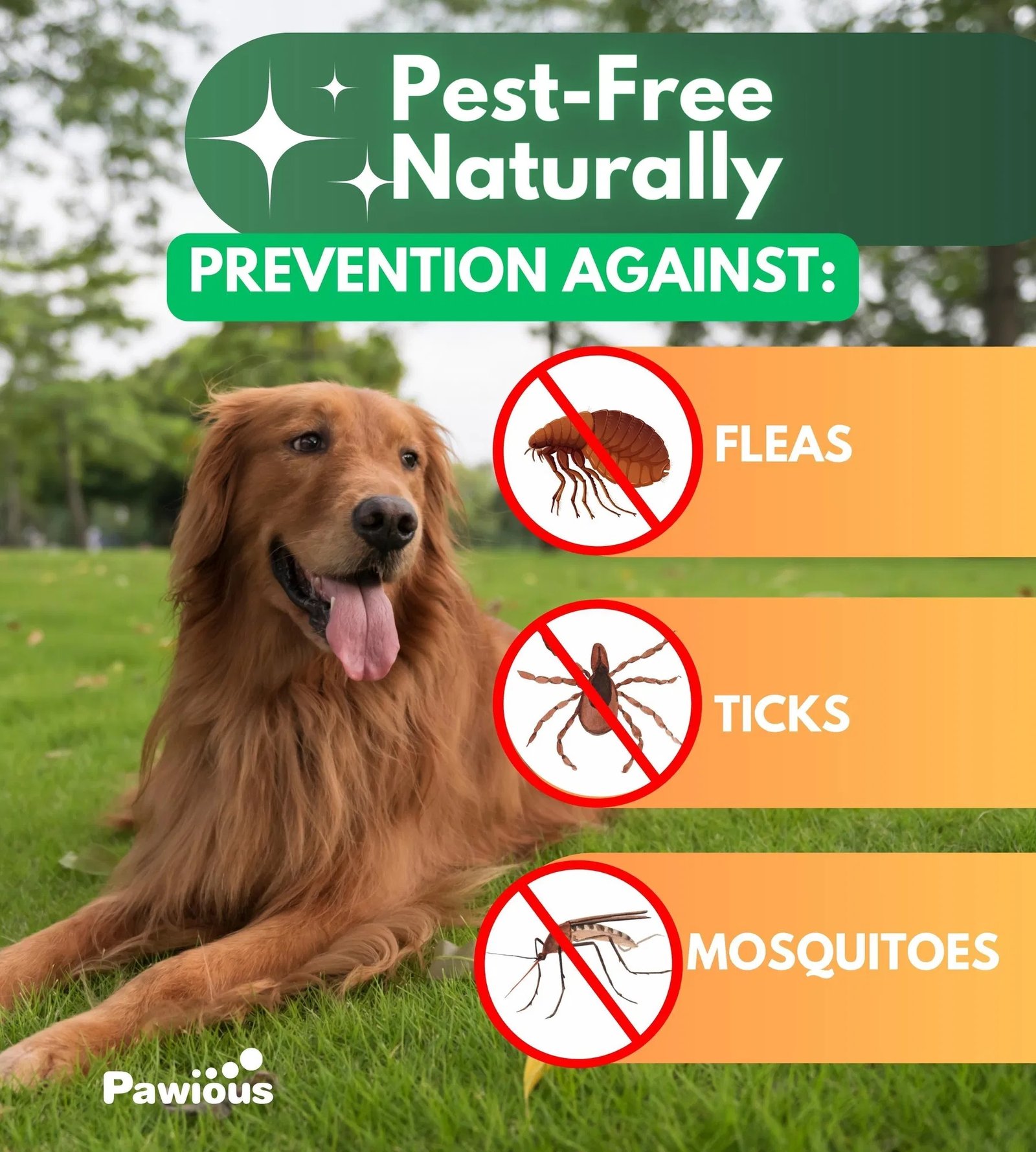Flea And Tick Prevention For Dogs  Dogs Pest Defense - Image 6